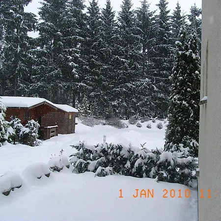 شقة فندقية Blechleppel - Im Harz بينيكيشتاين