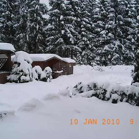 Blechleppel - Im Harz 3* بينيكيشتاين