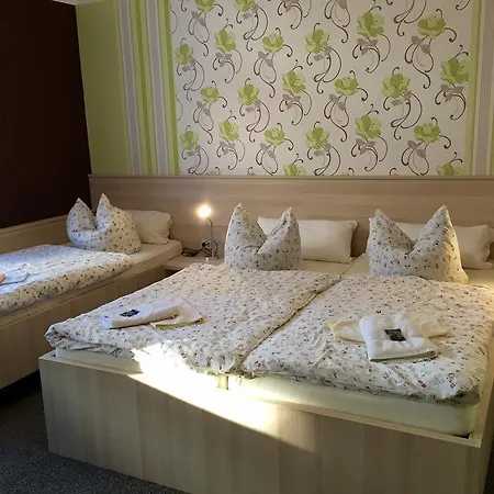 Appart hôtel Blechleppel - Im Harz Benneckenstein