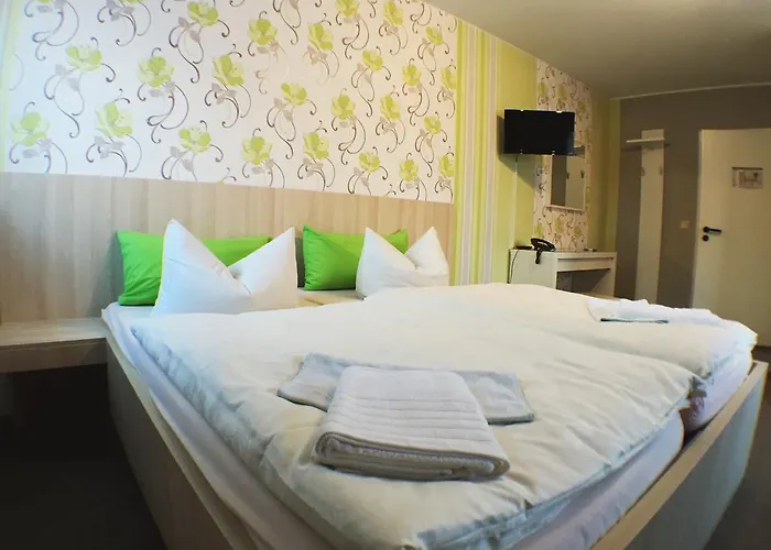 Blechleppel - Im Harz 3*