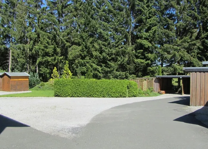 Blechleppel - Im Harz 3*