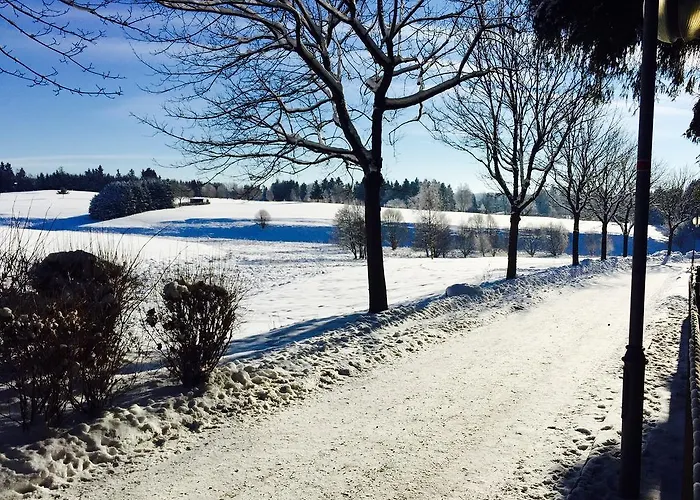 Blechleppel - Im Harz מלון דירות 3*