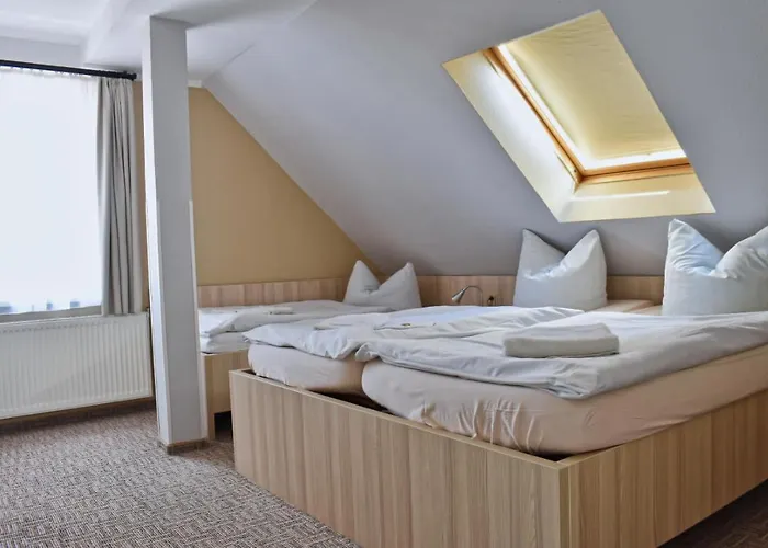 Blechleppel - Im Harz Benneckenstein